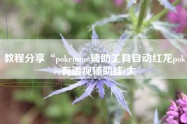 教程分享“pokemmo辅助工具自动红龙poker有透视辅助挂(太