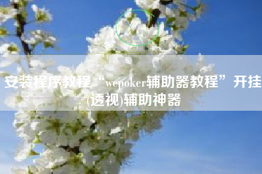 安装程序教程“wepoker辅助器教程”开挂(透视)辅助神器