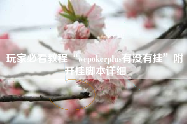 玩家必看教程“wepokerplus有没有挂”附开挂脚本详细