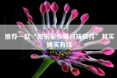 推荐一款“微乐家乡麻将挂软件	”其实确实有挂