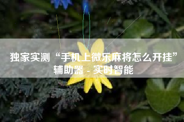 独家实测“手机上微乐麻将怎么开挂	”辅助器 - 实时智能