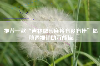 推荐一款“吉林微乐麻将有没有挂”揭秘透视辅助万能挂