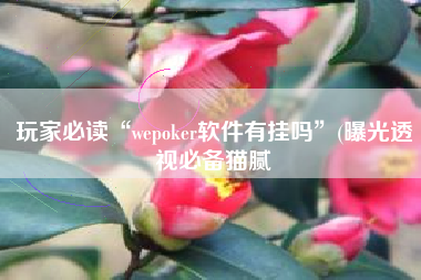 玩家必读“wepoker软件有挂吗”(曝光透视必备猫腻