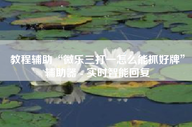 教程辅助“微乐三打一怎么能抓好牌”辅助器 - 实时智能回复