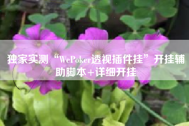 独家实测“WePoker透视插件挂”开挂辅助脚本+详细开挂