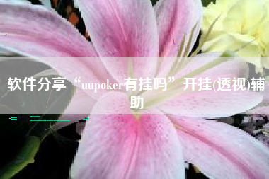 软件分享“uupoker有挂吗”开挂(透视)辅助