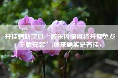 开挂辅助工具“微乐内蒙麻将开挂免费下载安装”(原来确实是有挂)