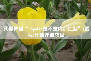 实操教程“hhpoker是不是内部控制	”(透视)开挂详细教程