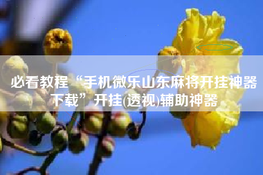 必看教程“手机微乐山东麻将开挂神器下载	”开挂(透视)辅助神器