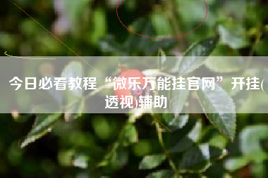 今日必看教程“微乐万能挂官网	”开挂(透视)辅助