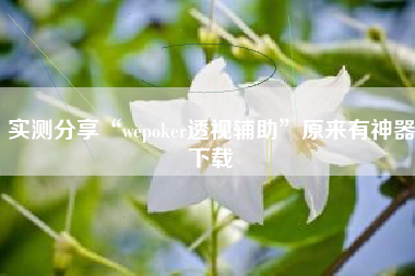 实测分享“wepoker透视辅助”原来有神器下载