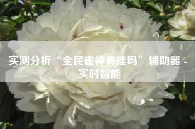 实测分析“全民雀神有挂吗”辅助器 - 实时智能