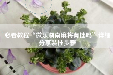 必看教程“微乐湖南麻将有挂吗	”详细分享装挂步骤