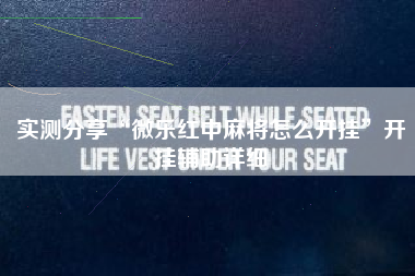 实测分享“微乐红中麻将怎么开挂”开挂辅助详细