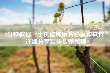 3分钟教程“手机雀神麻将必赢神软件”详细分享装挂步骤教程