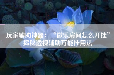 玩家辅助神器：“微乐房间怎么开挂”揭秘透视辅助万能挂用法