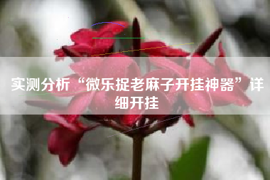 实测分析“微乐捉老麻子开挂神器”详细开挂