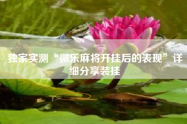 独家实测“微乐麻将开挂后的表现”详细分享装挂