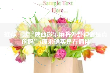 推荐一款“陕西微乐麻将外卦神器是真的吗	”(原来确实是有插件