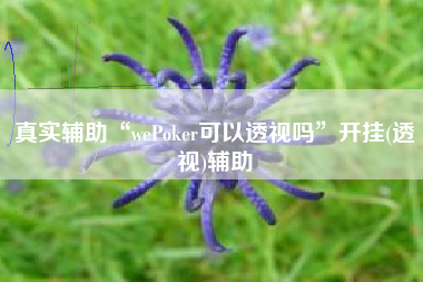 真实辅助“wePoker可以透视吗”开挂(透视)辅助