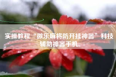 实操教程“微乐麻将防开挂神器	”科技辅助神器手机