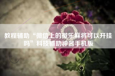 教程辅助“微信上的微乐麻将可以开挂吗”科技辅助神器手机版