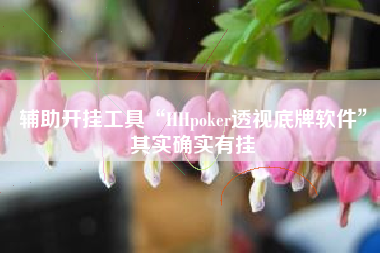 辅助开挂工具“HHpoker透视底牌软件	”其实确实有挂