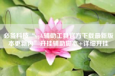 必备科技“wpk辅助工具官方下载最新版本更新内”开挂辅助脚本+详细开挂
