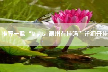 推荐一款“hhpoker德州有挂吗	”详细开挂