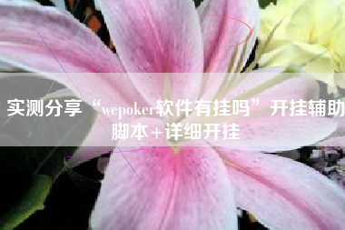 实测分享“wepoker软件有挂吗”开挂辅助脚本+详细开挂
