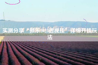 实测分享“微乐2025透视挂”详细开挂玩法