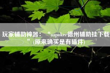 玩家辅助神器：“aapoker德州辅助挂下载”(原来确实是有插件)