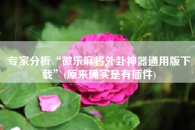 专家分析“微乐麻将外卦神器通用版下载”(原来确实是有插件)