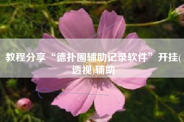 教程分享“德扑圈辅助记录软件	”开挂(透视)辅助
