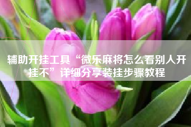 辅助开挂工具“微乐麻将怎么看别人开挂不	”详细分享装挂步骤教程