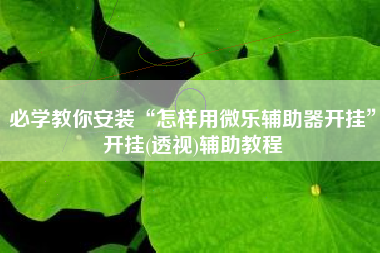 必学教你安装“怎样用微乐辅助器开挂”开挂(透视)辅助教程