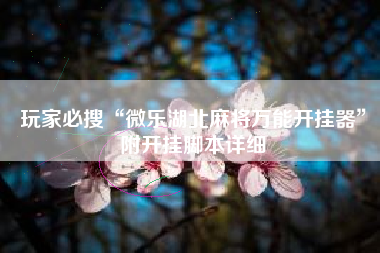 玩家必搜“微乐湖北麻将万能开挂器”附开挂脚本详细