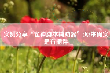 实测分享“雀神脚本辅助器	”(原来确实是有插件