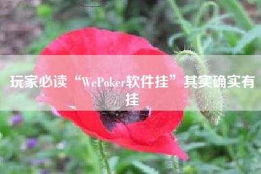 玩家必读“WePoker软件挂”其实确实有挂