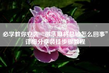 必学教你安装“微乐麻将总输怎么回事	”详细分享装挂步骤教程