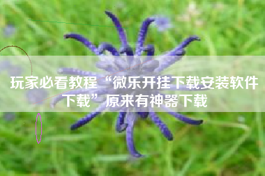 玩家必看教程“微乐开挂下载安装软件下载”原来有神器下载