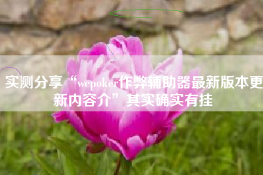 实测分享“wepoker作弊辅助器最新版本更新内容介”其实确实有挂