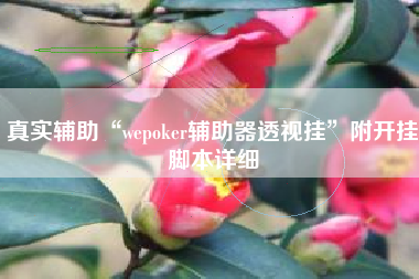 真实辅助“wepoker辅助器透视挂	”附开挂脚本详细
