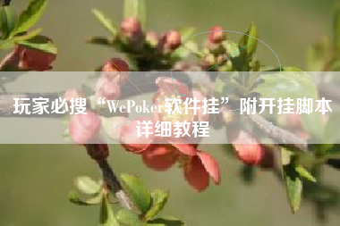 玩家必搜“WePoker软件挂”附开挂脚本详细教程