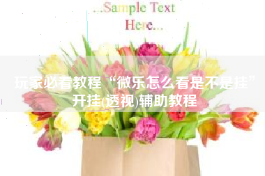 玩家必看教程“微乐怎么看是不是挂	”开挂(透视)辅助教程