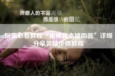 玩家必看教程“雀神脚本辅助器”详细分享装挂步骤教程