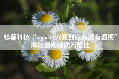 必备科技“wepoker究竟到底有没有透视	”揭秘透视辅助万能挂