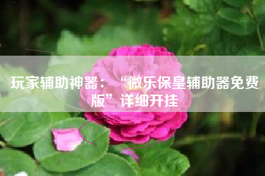 玩家辅助神器：“微乐保皇辅助器免费版”详细开挂