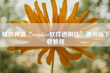 辅助神器“wepoker软件透明挂”通用版下载教程