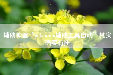 辅助神器“pokemmo辅助工具自动	”其实确实有挂